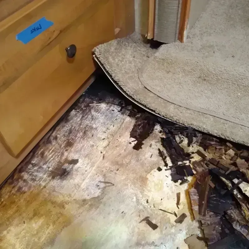 Wood Floor Water Damage in Frederick, CO